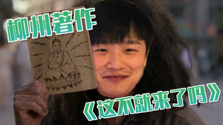 柳州著作之《这不就来了吗》