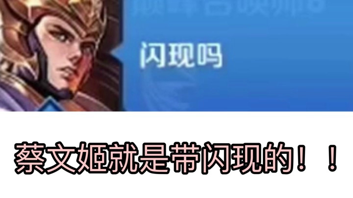 别问我为什么蔡文姬带闪现了 就是牛皮！！！