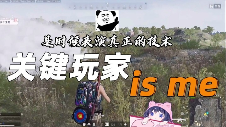 【一条小团团】关键玩家is me，以后别再说我是挂件团了