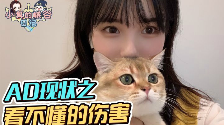 你看我骂他们，他们敢开腔吗！有猫饼，自己玩吧
