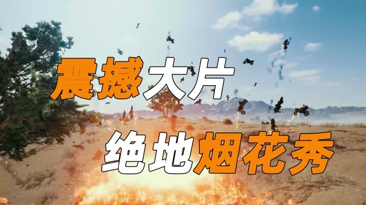 【一条小团团】震撼大片来了，绝地烟花秀送给你