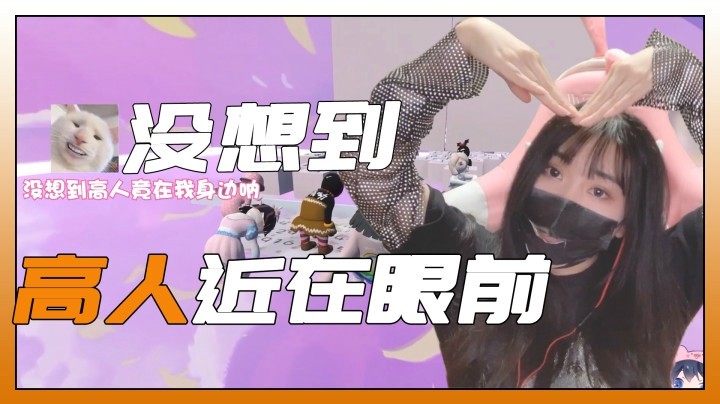 【一条小团团】本不想告诉你答案，没想到高人就在眼前