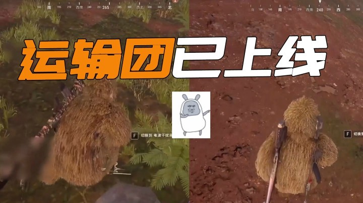 【一条小团团】我待装备如初恋，运输团已上线