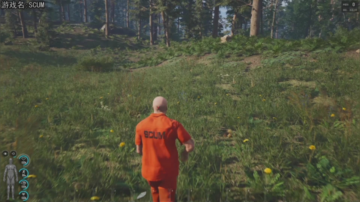 【2020-11-27 20点场】巴格拉斯：热爱生活，走进巴叔