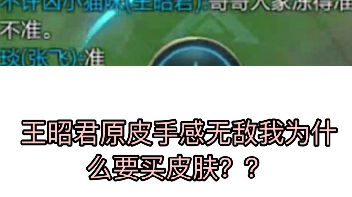 原皮王昭君冰冻率有加成？皮肤模型也太好看了！