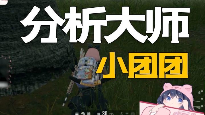 【一条小团团】一顿分析猛如虎~操作就像250