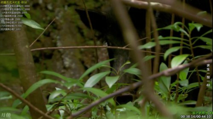 【科普】酷炫你你你的精彩时刻 20201127 07点场