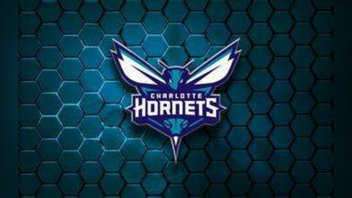 【2KOL2】树懒百科EP10： 夏洛特黄蜂全队现役球员分析