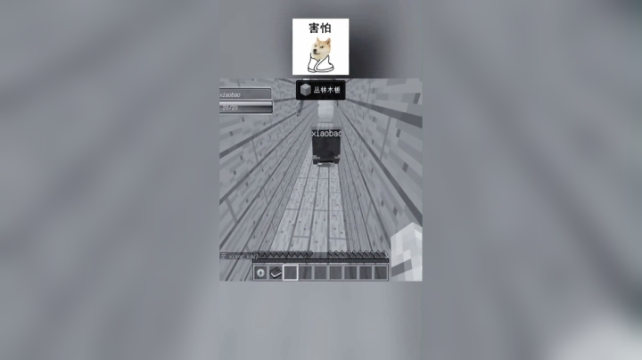 我的世界史上最简单的星体水立方
