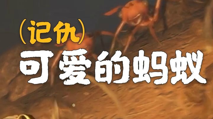 【一条小团团】可爱（记仇）小蚂蚁！！！
