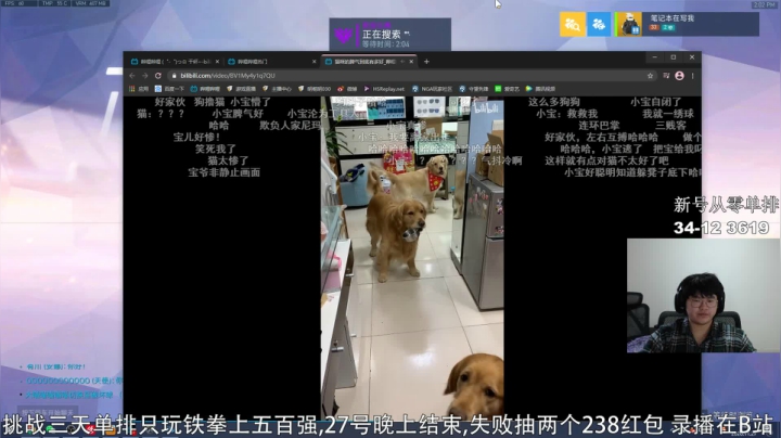 【2020-11-27 13点场】明栀明030：挑战只玩铁拳3天上百强，最后一天