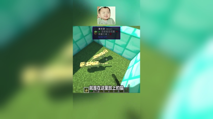 苦力怕表示害怕极了