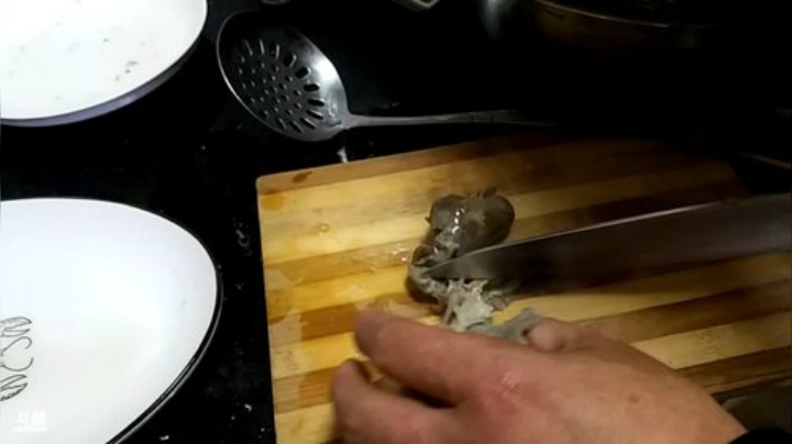 【美食】威海大叔的精彩时刻 20201128 01点场
