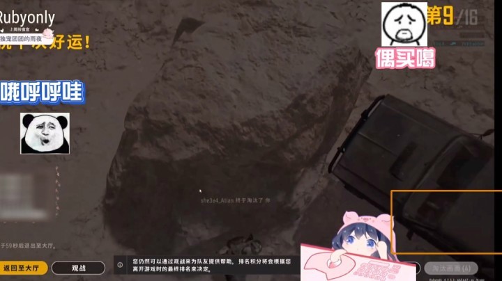 【一条小团团】疯掉的团子
