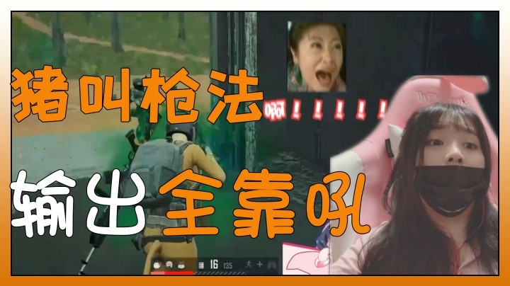 【一条小团团】小团团猪叫枪法，输出全靠吼