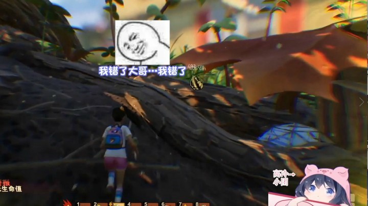 【一条小团团】被蜘蛛支配的团团