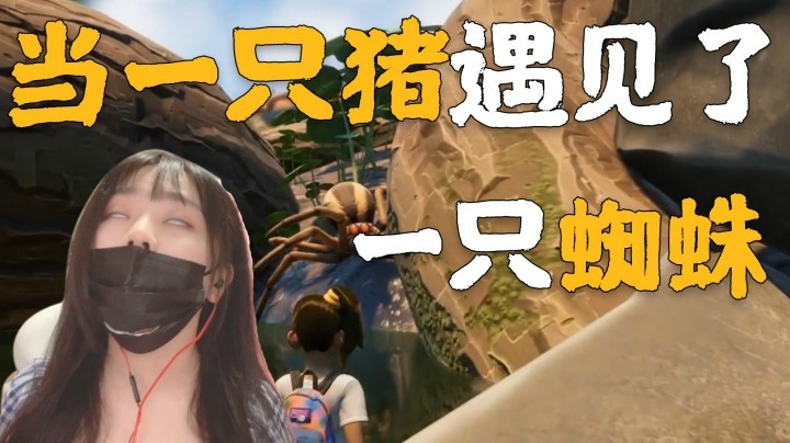 【一条小团团】当一只猪遇见了蜘蛛