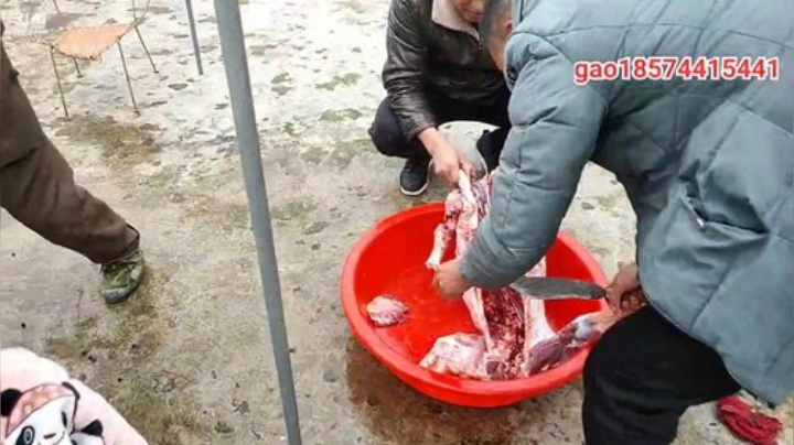 【美食】魅力生活i的精彩时刻 20201128 14点场