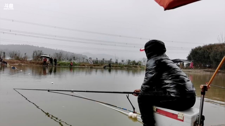 【2020-11-28 13点场】中华户外钓鱼：青鱼坑正钓