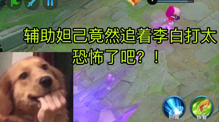 辅助妲己竟然把敌方打野李白打的满街跑惊了!