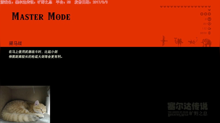 【2020-11-29 17点场】猫波：论炸鱼，我猫波也算得上是一等一的高手