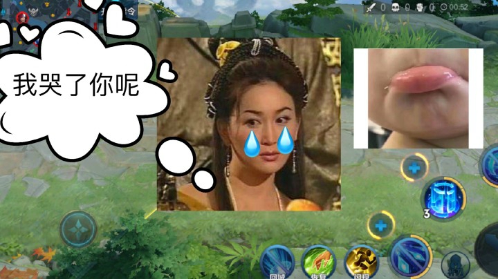 新草丛新版妲己废了！大家别玩了！草丛biao陨落！