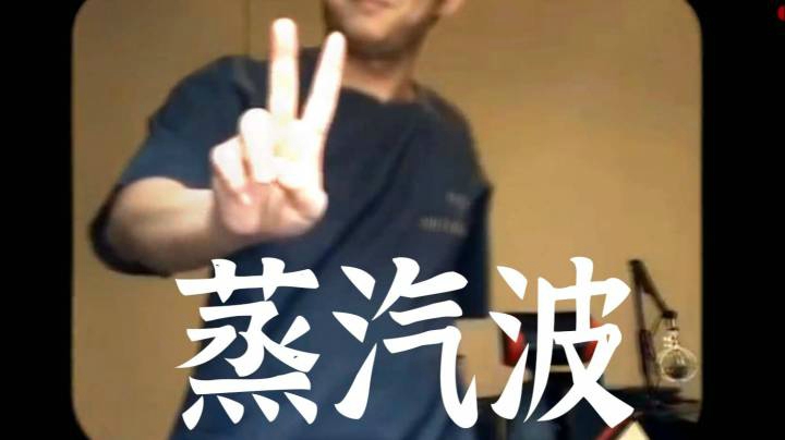 【主播杨树】蒸汽波