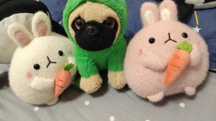 电竞杀手很高冷~