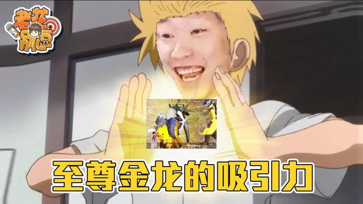 【老花别逗】至尊金龙的吸引力这么大吗？