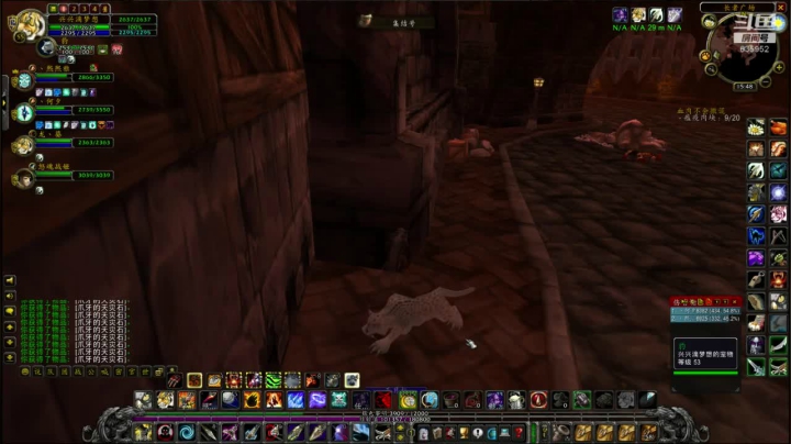 【2020-11-28 15点场】兴兴的梦想：火锤-周六希望转运红本！635952