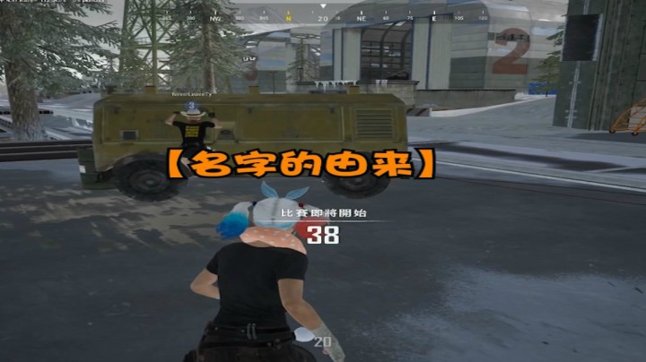 名字的由来