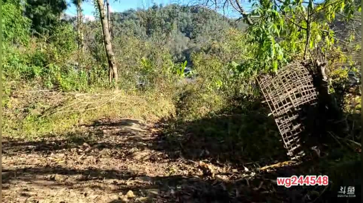 【2020-11-29 15点场】叶子户外：《纪实直播》去腾冲，汶上