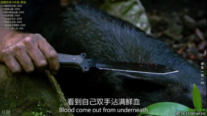 【科普】酷炫你你你的精彩时刻 20201130 17点场