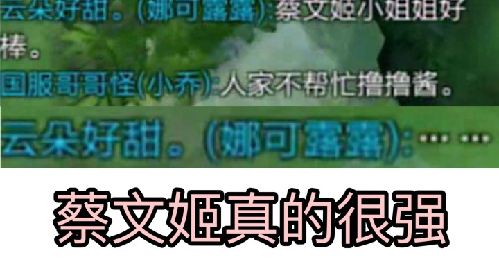 蔡文姬没用?混子英雄?你看看别人怎么玩的..