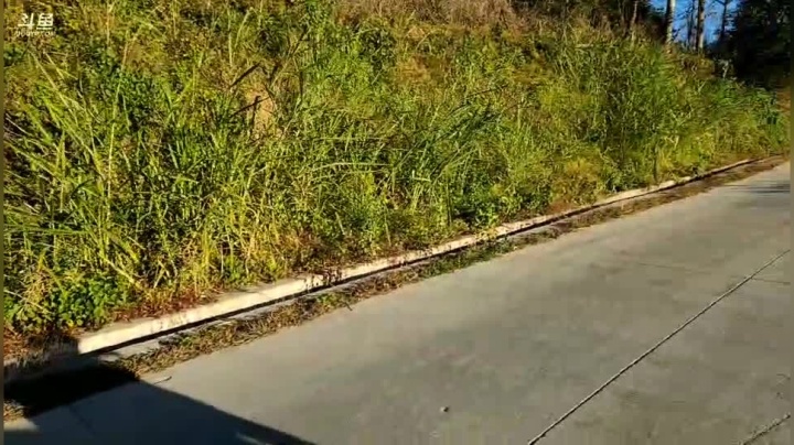 【2020-11-30 16点场】叶子户外：《纪实直播》去腾冲，瓦房乡