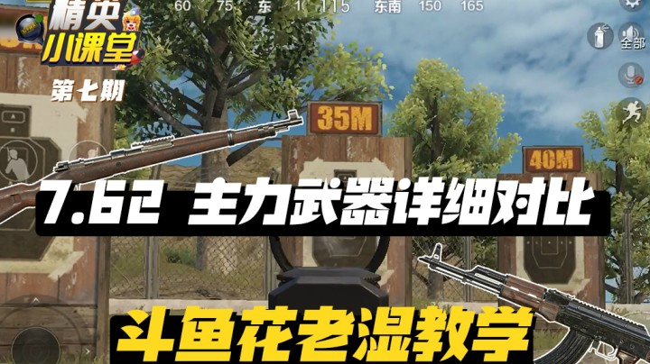【精英小课堂】7.62口径主力武器详细对比