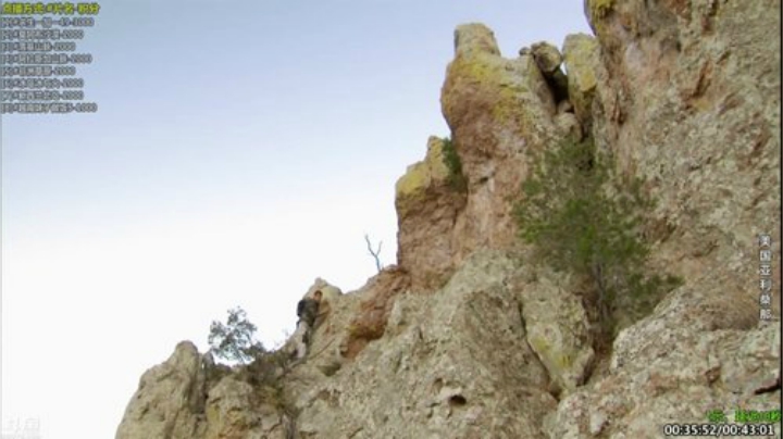 【科普】酷炫你你你的精彩时刻 20201130 08点场