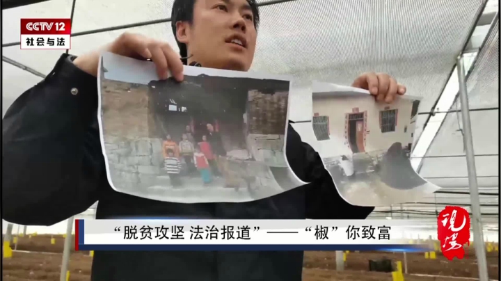 【2020-11-30 14点场】政达光明：贵州贞丰：“椒”你致富