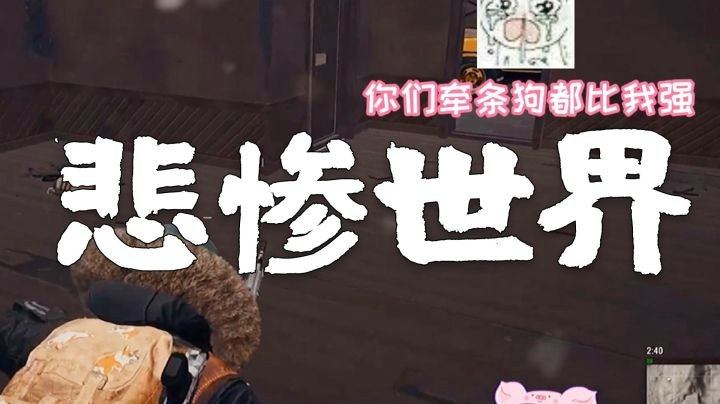 【一条小团团】 好惨（菜）一女子~