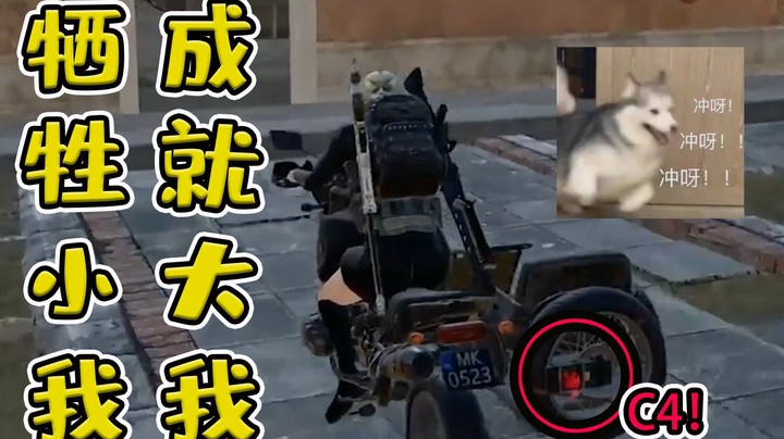 【仙某某】舍不得队友套不到敌人！【仙某某一周合集#15】