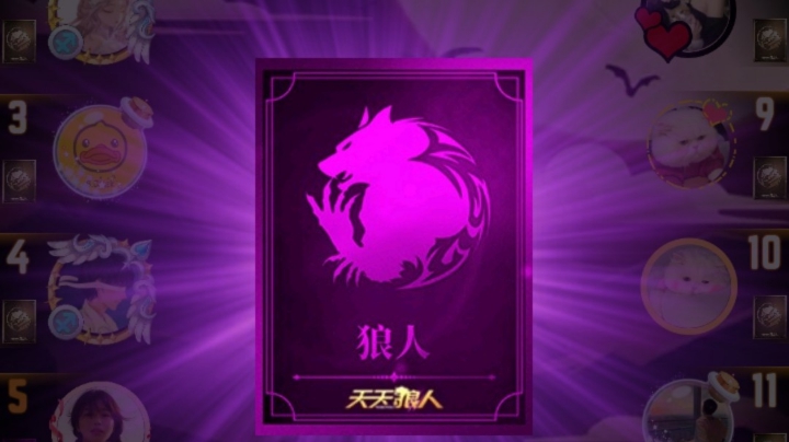 混血儿狼
