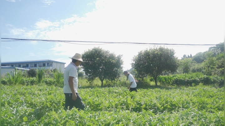 我在斗鱼看YESHI小哥直播美食