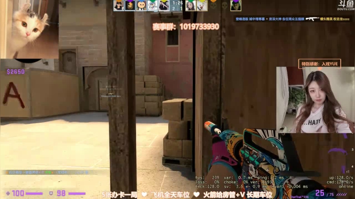 【2020-11-29 19点场】阿音w：就一打CSGO的女的，