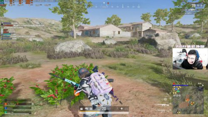 我在斗鱼看pigff直播绝地求生