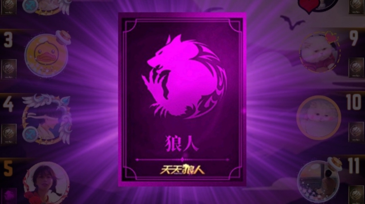 混血儿狼