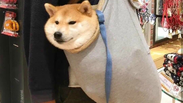 123456