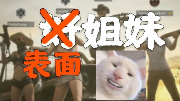 【一条小团团】铁打的人头，流水的集美情~