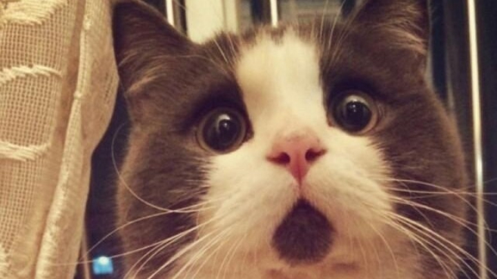 使命召唤16多人娱乐