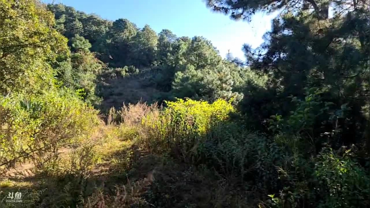 【2020-12-02 15点场】叶子户外：《纪实直播》去腾冲，瓦房乡