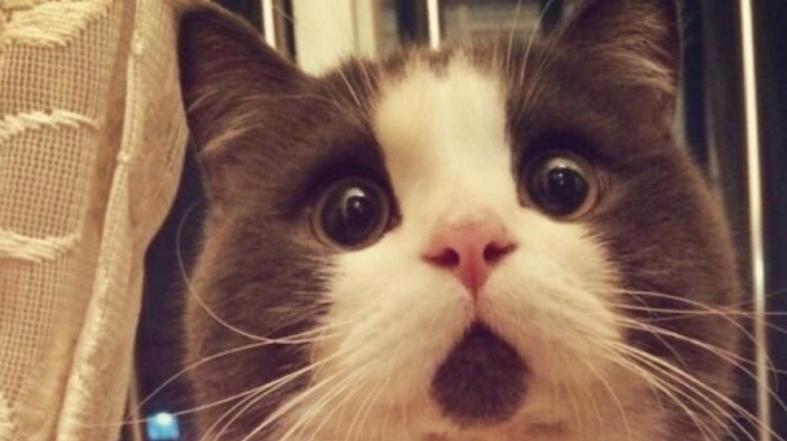 使命召唤多人娱乐